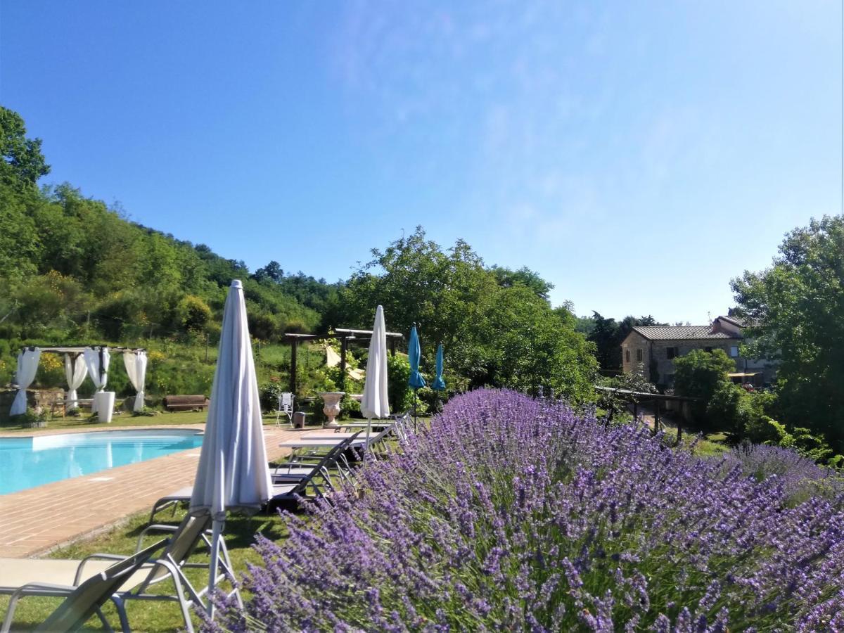 Le Ginestre Apartments Assisi Buitenkant foto